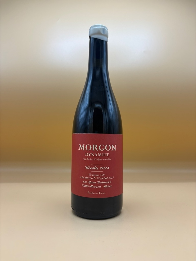 MORGON DYNAMITE 2024