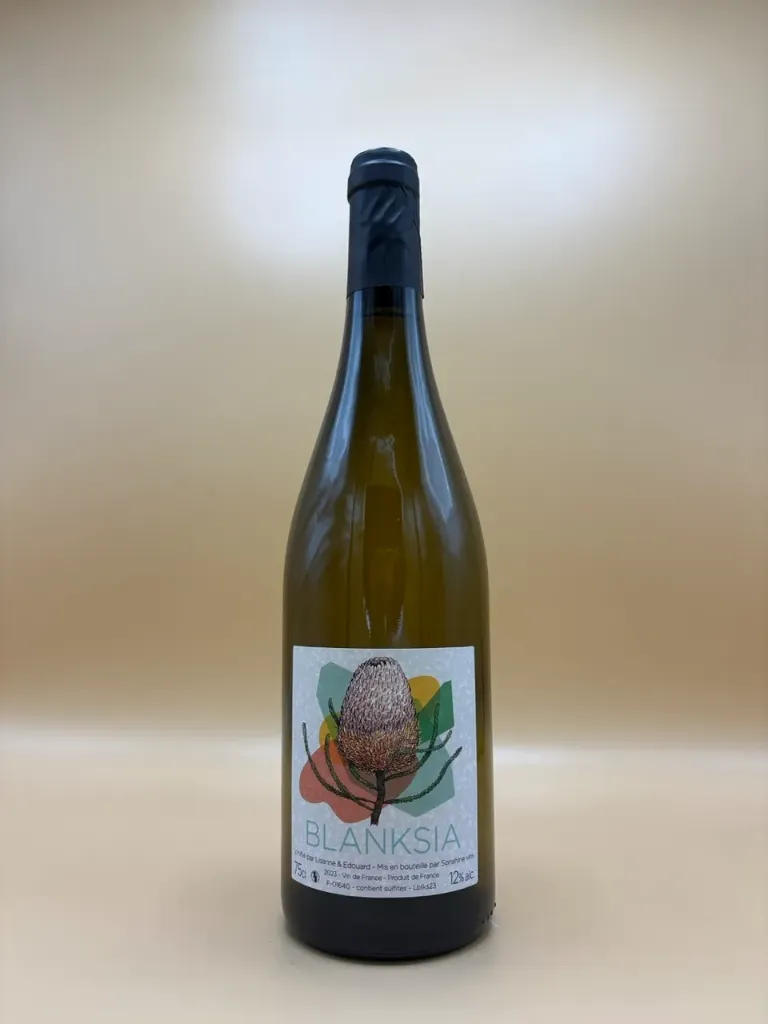 [231553] BLANKSIA 2023