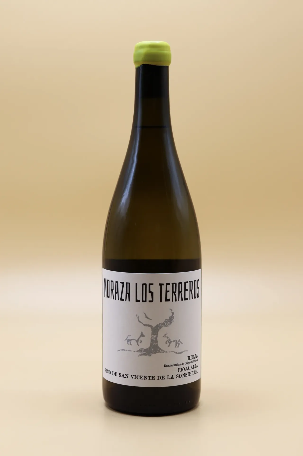 TERREROS BLANCO 2023