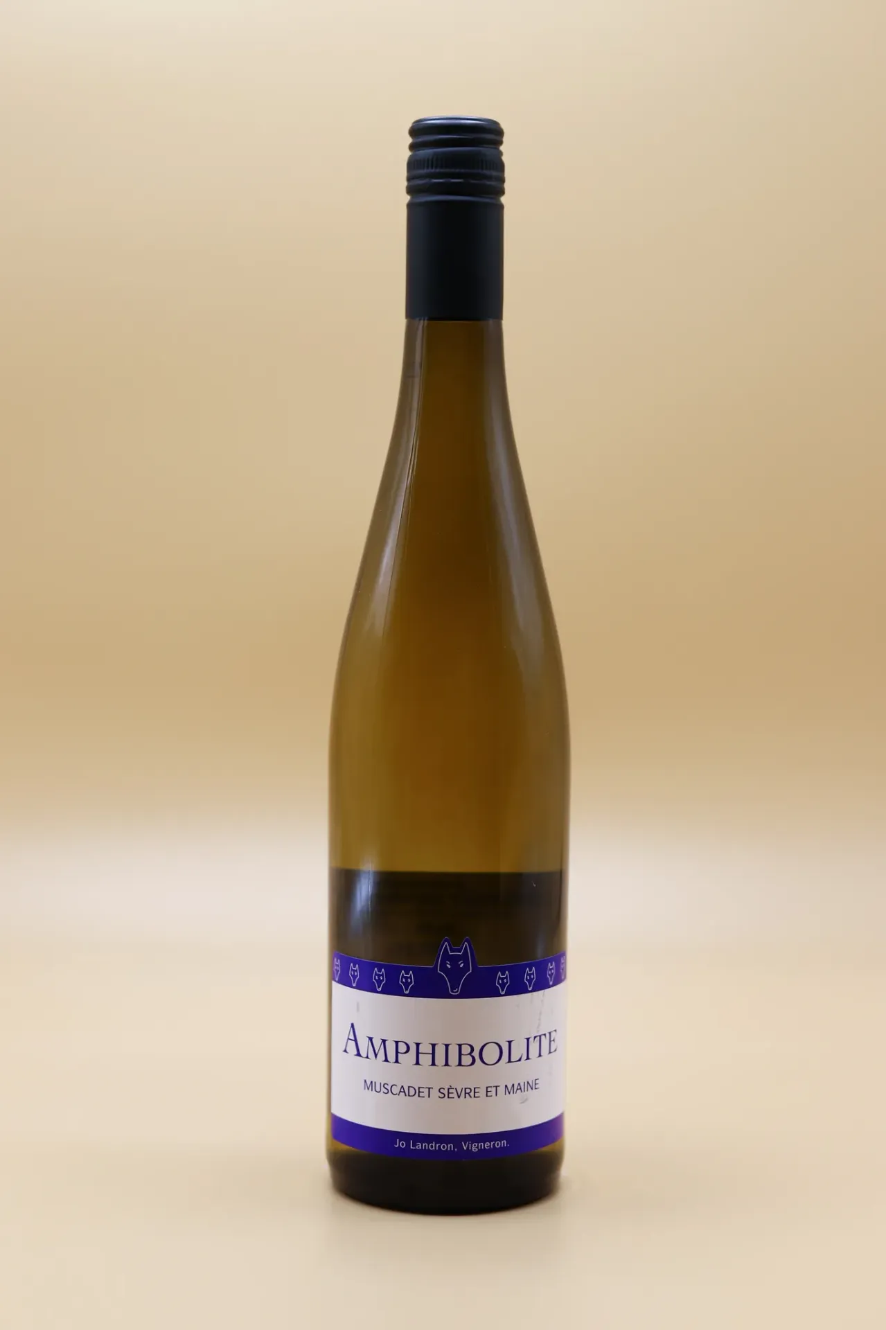 [193456] MUSCADET AMPHIBOLITE NATURE