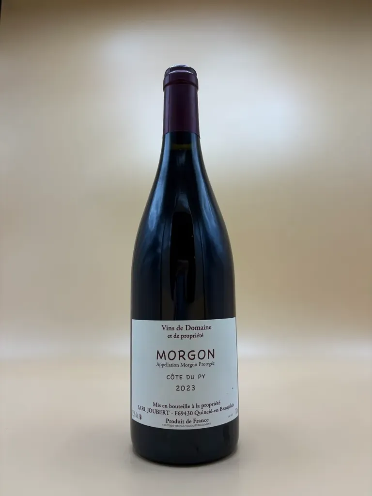[720450] MORGON 2023