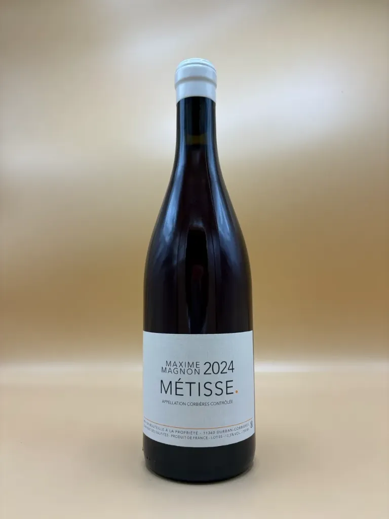 METISSE 2024